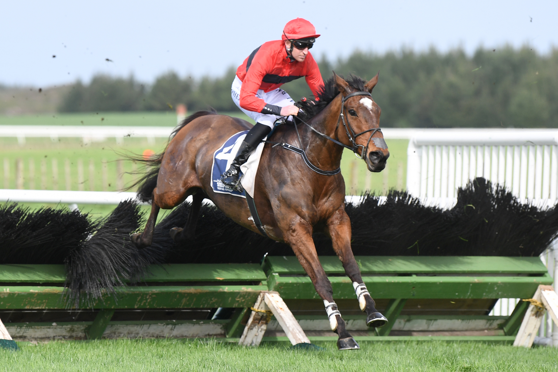 Hawkes Bay Racing Column - August 27 - Hawkes Bay Racing Club